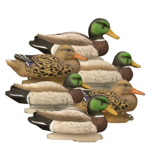 STANDARD MALLARD