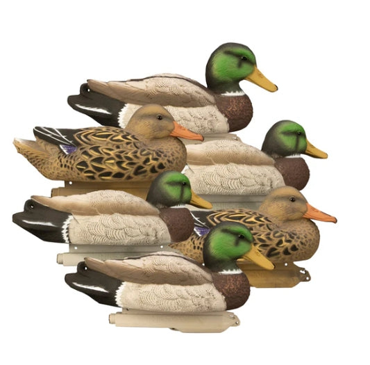 STANDARD MALLARD