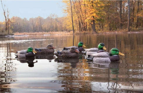 STANDARD MALLARD