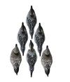 STANDARD PINTAIL