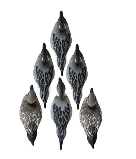 STANDARD PINTAIL