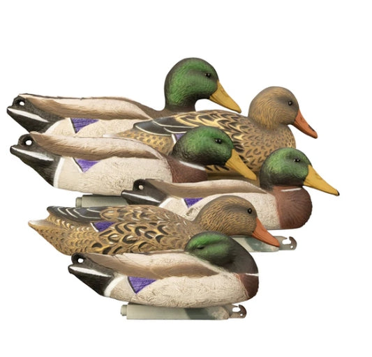 FULL SIZE MALLARD