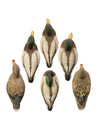 FULL SIZE MALLARD