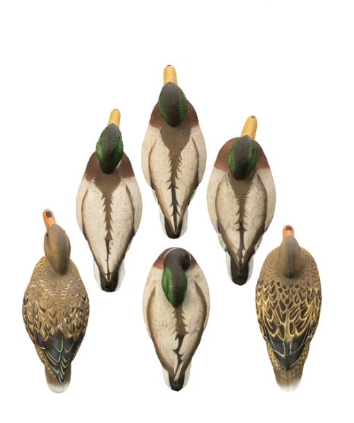FULL SIZE MALLARD