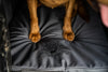 Lucky Duck Comfort Kennel Pad - Gray