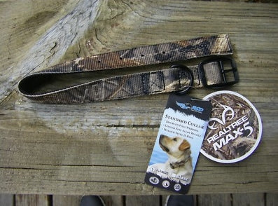 Avery Standard Dog Collar