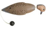 Avery Sporting Dog EZ-Bird Training Dummy - Mourning Dove
