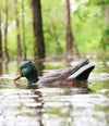 Mojo Dabbler Duck