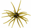Head Hunter Spider Monkey Urchin