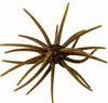 Head Hunter Spider Monkey Urchin