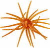 Head Hunter Spider Monkey Urchin