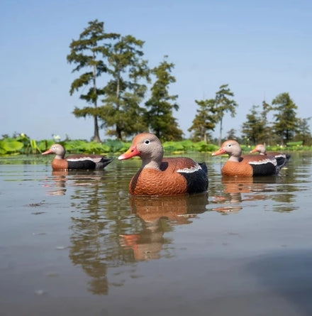 GHG Pro Grade Black Bellied Whistling Duck 6pk