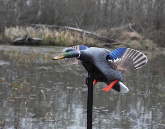 Mojo® Elite Series™ – Mini Mallard Drake