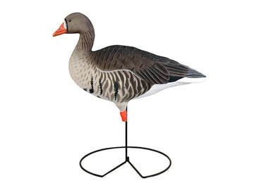 FFD Elite Full Body Specklebelly Decoy