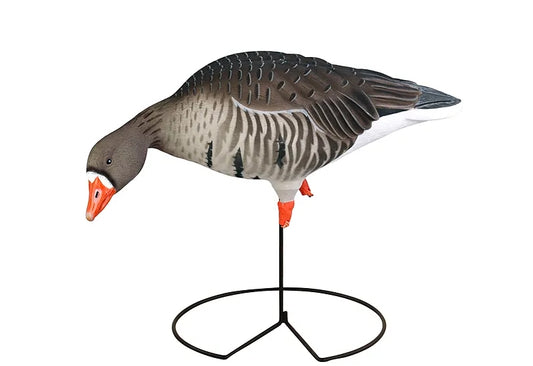 FFD Elite Full Body Specklebelly Decoy