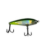 Mansfield Knocker Darter Jr