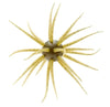 Hideup Coike Creature Bait