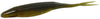 Zoom Super Fluke 5.25” 10pk