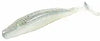 Zoom Swimmin Fluke Jr 4” 10pk
