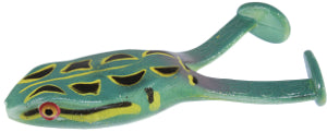ZOOM FROG