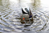 Mojo Butt Up Rippler 2 Duck Decoy