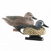 AVERY Life-Size Blue-Winged Teal
