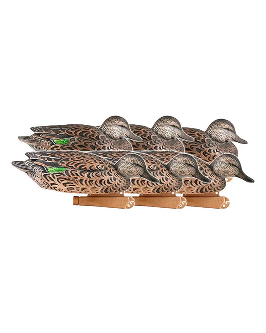 Pro-Grade Green-Winged Teal/Early Season