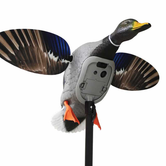 Mojo Elite Series King Mallard HW2520 Li-ion spinning wing decoy
