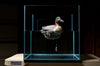 Jahpoo Flyway Deputy Green Winged Teal Motion Decoy