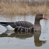 Avian X Specklebelly Goose Floater Decoys 4pk
