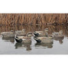 Avian X Top Flight Gadwall Decoys