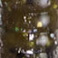 Zoom Trick Worm 6.5” 20pk