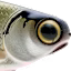 Spro KGB Lil Guy Swimbait