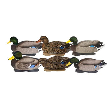 Pro-Grade XD Series Mallards w/ Flocked heads- Harvester Pack(6 pack)