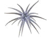 Berkley PowerBait MaxScent Moeba Creature Bait
