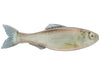 6th Sense Plump Panorama