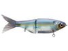SPRO KGB CHAD SHAD GLIDE BAIT