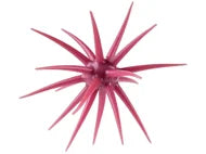 Berkley PowerBait MaxScent Moeba Creature Bait