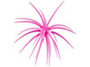 Hideup Coike Creature Bait