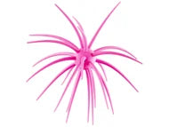 Hideup Coike Creature Bait