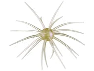 Hideup Coike Creature Bait