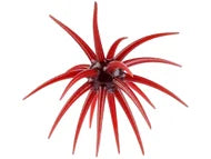 Berkley PowerBait MaxScent Moeba Creature Bait