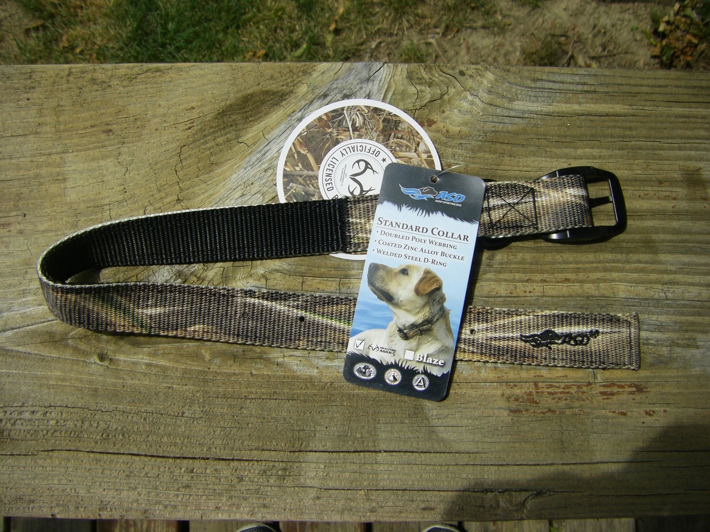 Avery Standard Dog Collar