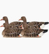 Avian X Specklebelly Goose Floater Decoys 4pk