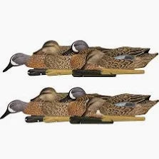 Avian X Top Flight Blue Wing Teal 6pk
