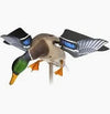 Avian X Power Flight Mallard Decoy