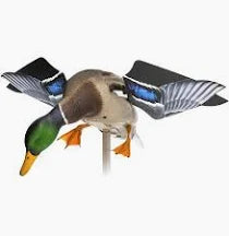 Avian X Power Flight Mallard Decoy